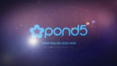 Simple Company Flared Logo Pack(3in1) Stock After Effects