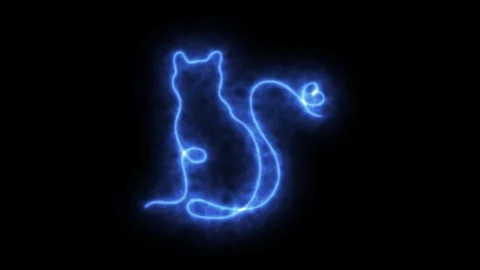 Simple continuous single one line drawing ghost neon animation of a cat Stock Footage 317947219