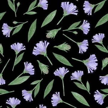 Simple Cornflower Floral Seamless Pattern on a Black Background. 스톡 일러스트