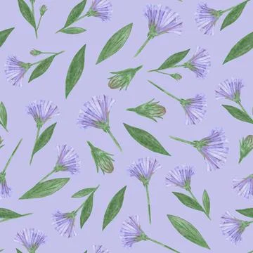 Simple Cornflower Floral Seamless Pattern on a Blue Background. Stock Illustration