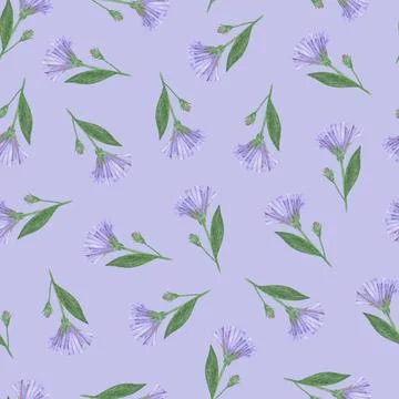 Simple Cornflower Floral Seamless Pattern on a Blue Background. Stock Illustration