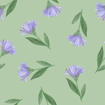 Simple Cornflower Floral Seamless Pattern on a Light Green Background. Stock Illustration