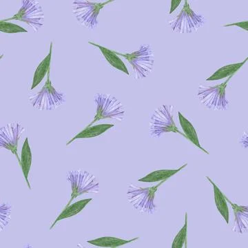 Simple Cornflower Floral Seamless Pattern on a Blue Background. Stock Illustration