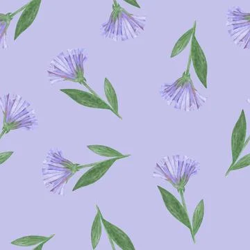 Simple Cornflower Floral Seamless Pattern on a Blue Background. Stock Illustration