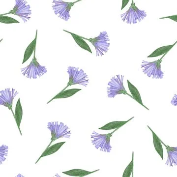 Simple Cornflower Floral Seamless Pattern on a White Background. Stock Illustration
