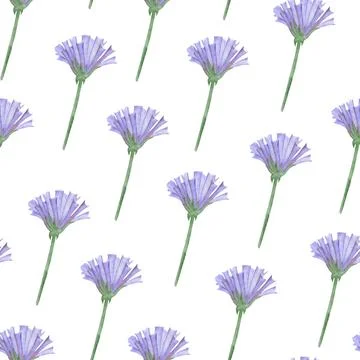Simple Cornflower Floral Seamless Pattern on a White Background. Illustrazione stock