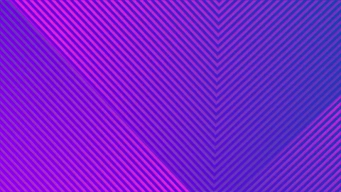 Simple corporate background with violet pink gradient and moving lines. Stock Footage 153239194
