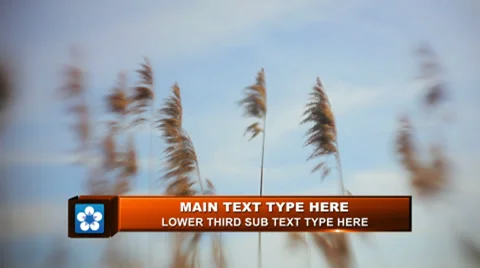 Simple Cube Lower Third Stock After Effects