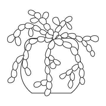 Simple cute cactus in doodle style. Succulent Decembrist. Stock Illustration