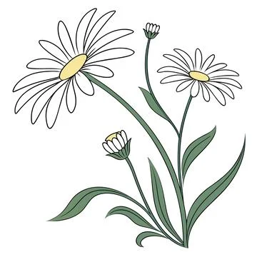 Simple Daisy Floral Flat Design Vector Illustrazione stock