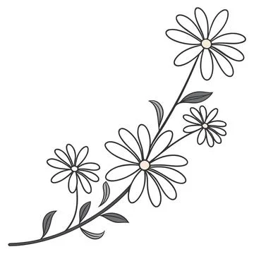 Simple Daisy Flower Border Icon Minimal Vector on White Stock Illustration