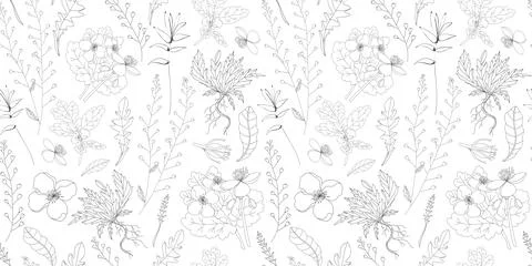 Simple delicate floral pattern. Thin lines. Summer fabric, textile and packag Stock Illustration
