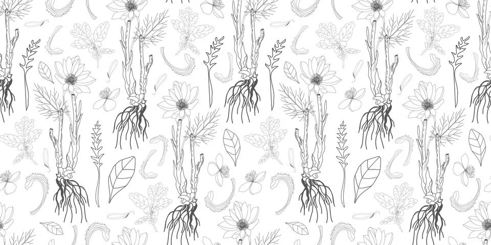 Simple delicate floral pattern. Thin lines. Summer fabric, textile and packag Stock Illustration