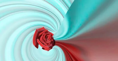 Simple design red large rose on a red abstract background wave lines on light Stock Photos