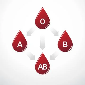 Simple diagram of blood type compatibility Stock-Illustration