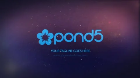 Simple Distort Company Logo Sting Stock After Effects