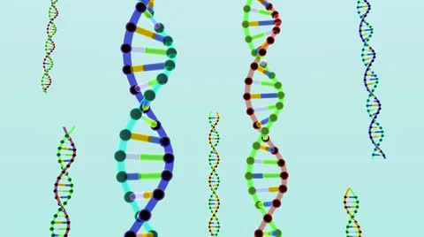 Simple DNA Model Stock Footage 25571847