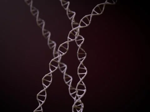 Simple dna spirals. 3d illustration. Stock Illustration