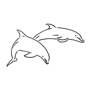 Simple dolphin silhouette dolphin, vector sketch on a white background Stock Illustration