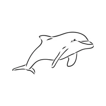 Simple dolphin silhouette dolphin, vector sketch on a white background Stock Illustration