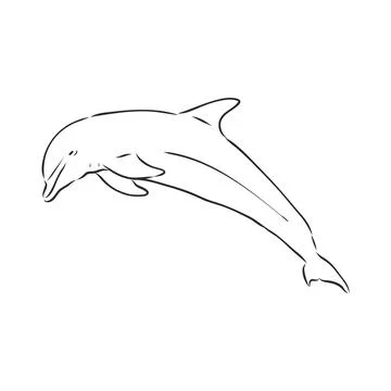 Simple dolphin silhouette. dolphin, vector sketch on a white background Stock Illustration