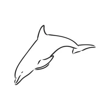Simple dolphin silhouette. dolphin, vector sketch on a white background Stock Illustration