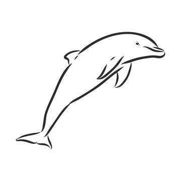 Simple dolphin silhouette. dolphin, vector sketch on a white background Stock Illustration