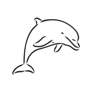 Simple dolphin silhouette. dolphin, vector sketch on a white background Stock Illustration