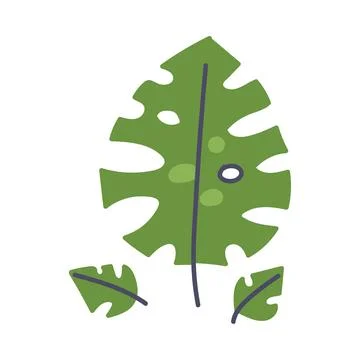 Simple Doodle Leaf of Plant on Stem Isolated on White Background Vector Illustrazione stock