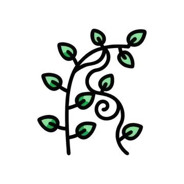 Simple drawing of a green leafy plant with curling vines Stock Illustration