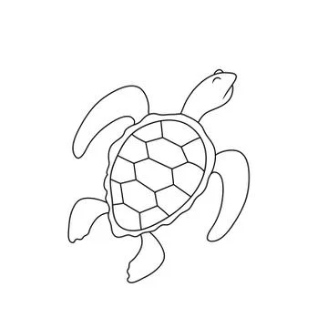 Simple drawing of a turtle with a haughty expression Illustrazione stock