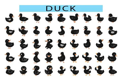 Simple Duck vector illustration in white background, Duck in different poses Stockillustratie