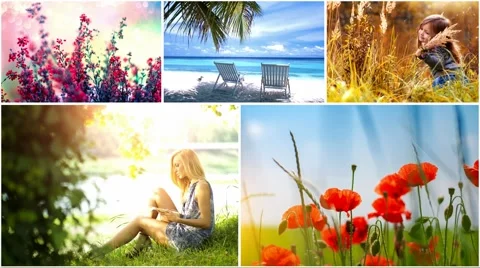 Simple, dynamic slideshows - portfolio - 5 After Effects stock