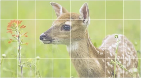 Simple, dynamic slideshows - portfolio - 8 Stock After Effects