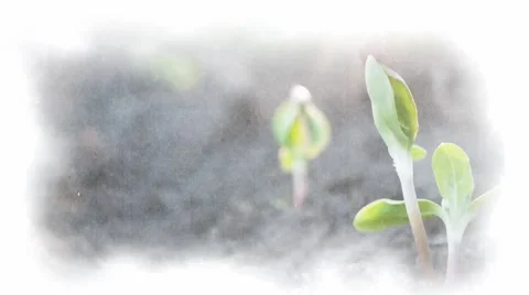 Simple, dynamic slideshows - portfolio - 9 Modèle After Effects