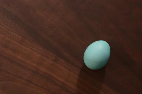 Simple easter egg on walnut wood table top view Stock Photos