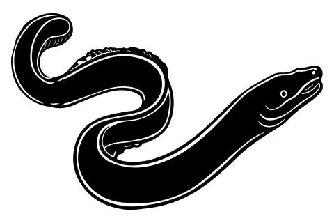Simple Eel vector illustration, Eel silhouette art Stock Illustration