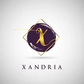 Simple Elegance Initial Letter X Gold Logo Type Sign Symbol Icon Illustrazione stock