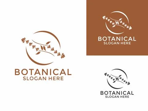 Simple Elegant botanical logo vector. Vintage Floral logo icon. Flower Plan.. Stock Illustration