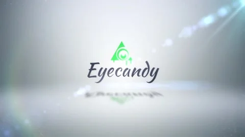 Simple elegant Business, Company Logo Fly In Stock After Effects