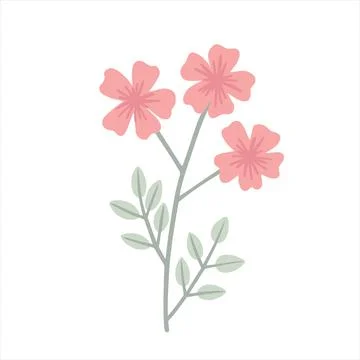 A simple field plant, flower Stock Illustration
