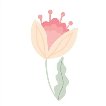 A simple field plant. Stock Illustration