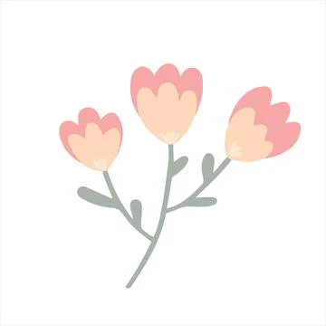 A simple field plant. Stock Illustration