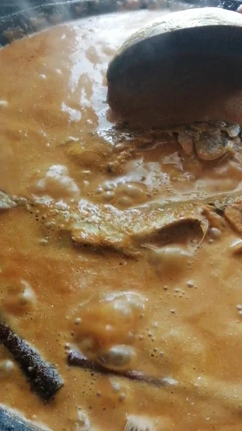 Simple fish curry close up Stock Footage 308062189
