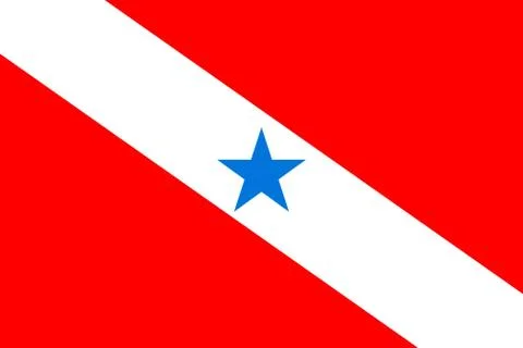 Simple flag state of Brazil. Para Stock-Illustration