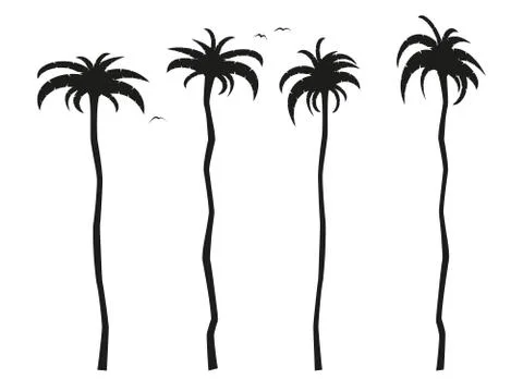 Simple flat black and white tall palm trees icon イラスト素材