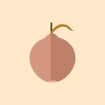 Simple Flat Coconut Vector Illustration Stock Illustration