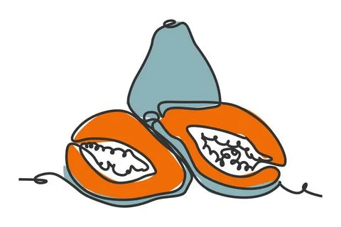 Simple flat color continuous one line drawing of papaya fruit. Vector Иллюстрация