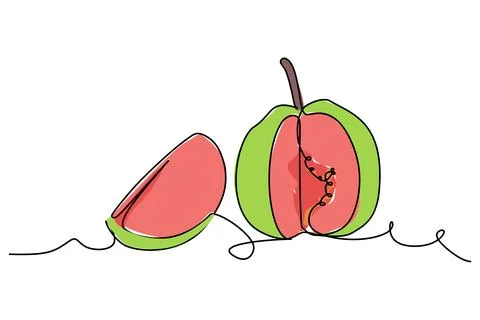 Simple flat color continuous one line drawing of a guava fruit. 스톡 일러스트