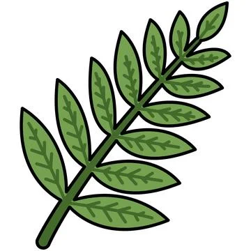 Simple flat green fern leaf with black outline for nature concept Stock Illustration